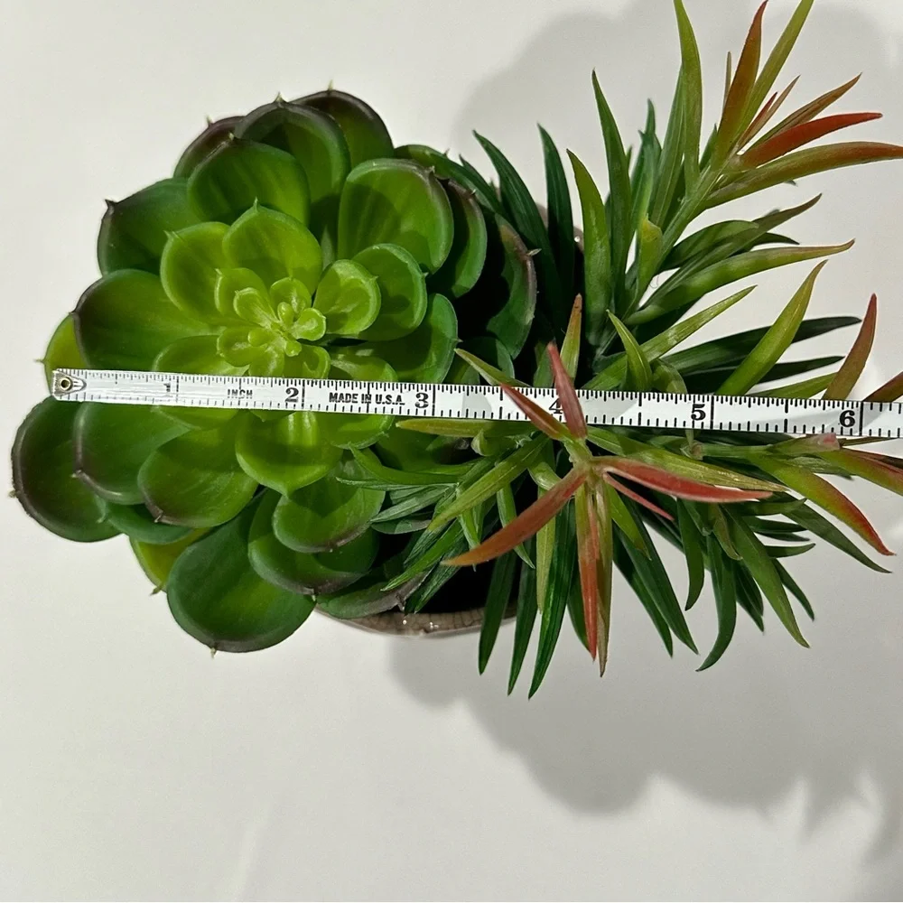 Ceramic Potted Faux Succulents Artificial Plant Decor